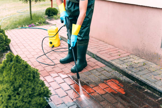 Best Roof Washing  in Shasta, CA